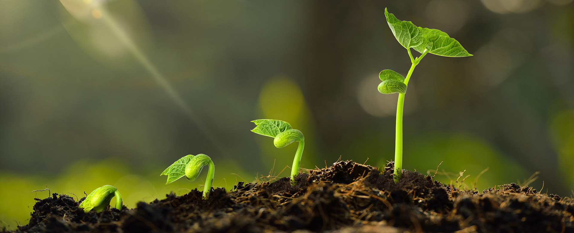 Image: Our 30-year Commitment to HIV/AIDS